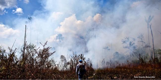  Portal Los Bosques en las Noticias